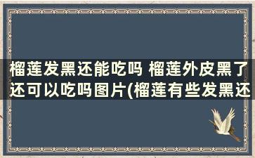 榴莲发黑还能吃吗 榴莲外皮黑了还可以吃吗图片(榴莲有些发黑还能吃吗)